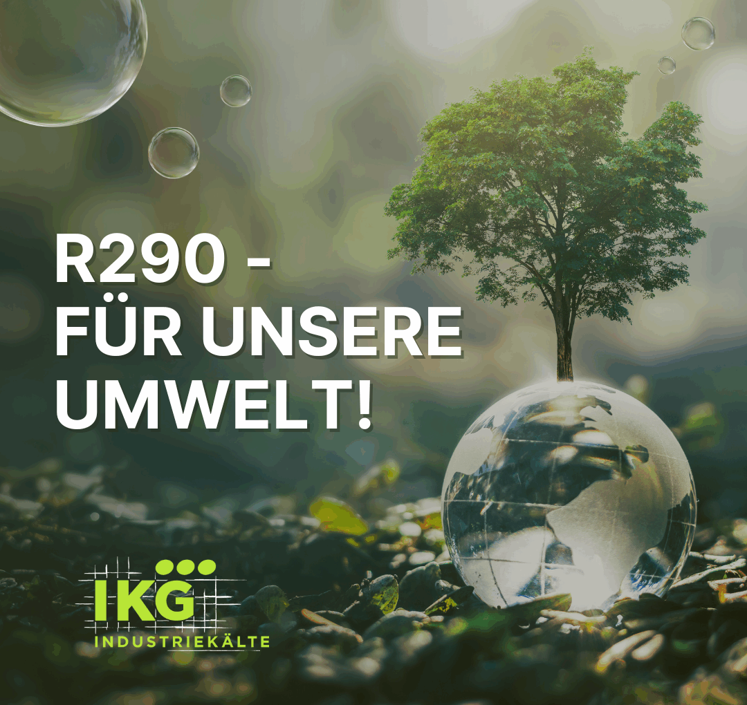 Natürlich cool – das Kältemittel R290